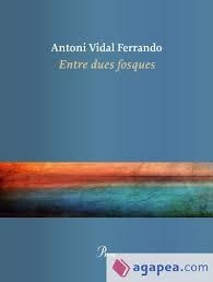 ENTRE DUES FOSQUES | 9728410422434 | ANTONI VIDAL FERRANDO | Llibreria Online de Tremp