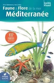 FAUNE ET FLORE DE LA MER MÉDITERRANÉE | 9782366623338