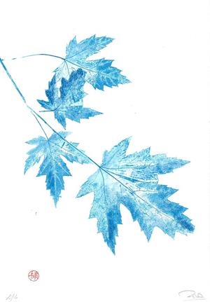 IL·LUSTRACIÓ MATÍ BLAU | ROSA EVA 1