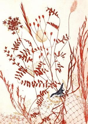 IL·LUSTRACIÓ ALETEIG ESTIVAL | ROSA EVA 2