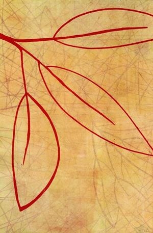 IL·LUSTRACIÓ HAMNET | ROSA EVA 4