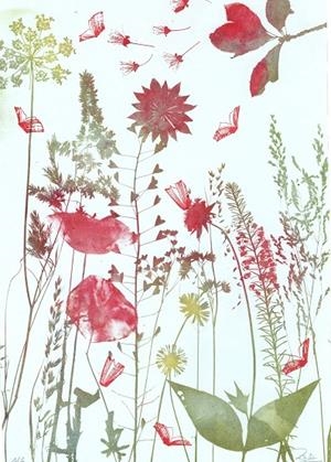 IL·LUSTRACIÓ BRISA DE PRIMAVERA | ROSA EVA 8