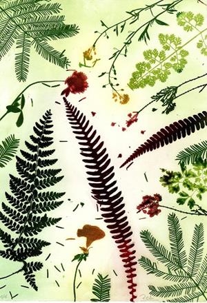 IL·LUSTRACIÓ ALÈ DE SOTABOSC | ROSA EVA 10