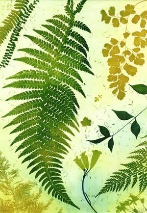 IL·LUSTRACIÓ L'OLOR DEL BOSC | ROSA EVA 13