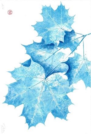 IL·LUSTRACIÓ LA VEU DELS ARBRES | ROSA EVA 14