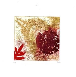 IL·LUSTRACIÓ CALIDESA DE TARDOR | ROSA EVA 19