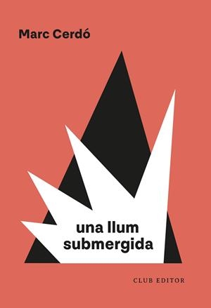 UNA LLUM SUBMERGIDA | 9788473294751 | CERDÓ, MARC | Llibreria Online de Tremp