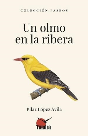 UN OLMO EN LA RIBERA | 9788419624987
