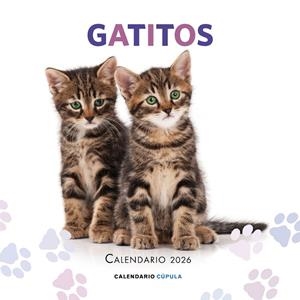 CALENDARIO GATITOS 2026 | 9788448044909 | AA. VV. | Llibreria Online de Tremp