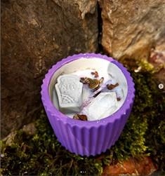 ESPELMA HALLOWEEN | HENKO2 | HENKO_TERRARIUM | Llibreria Online de Tremp