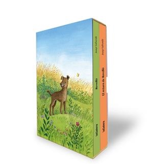 ESTOIG ROVELLÓ | 9788424676520 | VALLVERDÚ I AIXALÀ, JOSEP | Llibreria Online de Tremp