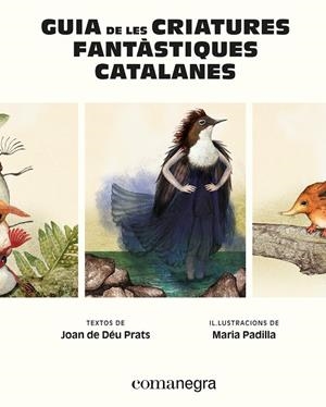 GUIA DE LES CRIATURES FANTÀSTIQUES CATALANES | 9788410161900 | PRATS, JOAN DE DÉU/PADILLA, MARIA | Llibreria Online de Tremp