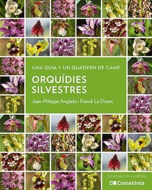 ORQUÍDIES SILVESTRES | 9788413564920 | ANGLADE, JEAN-PHILIPPE/LE DRIANT, FRANCK | Llibreria Online de Tremp