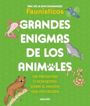 GRANDES ENIGMAS DE LOS ANIMALES (COLECCIÓN GRANDES ENIGMAS) | 9788427253698 | DE LA RIVA DOMÍNGUEZ (FAUNÍSTICOS), ÉRIC | Llibreria Online de Tremp