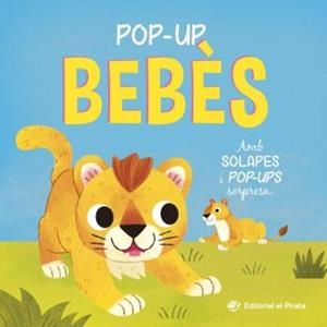 POP-UP BEBÈS - CONTE AMB SOLAPES I POP-UPS SORPRESA! | 9788419912527 | BLAKE, CARLY | Llibreria Online de Tremp