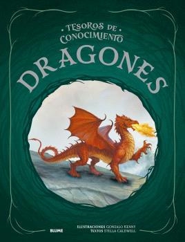 TESOROS CONOCIMIENTO. DRAGONES | 9791387881191 | KENNY, GONZALO/CALDWELL, STELLA | Llibreria Online de Tremp