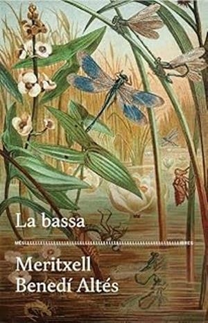 LA BASSA | 9788417353728 | BENEDÍ, MERITXELL | Llibreria Online de Tremp