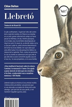 LLEBRETÓ | 9791387726393 | DALTON, CHLOE | Llibreria Online de Tremp