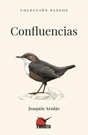 CONFLUENCIAS | 9791387759322 | JOAQUIN ARAÚJO