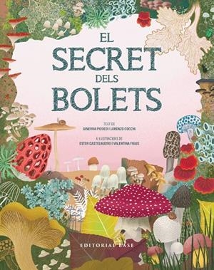 EL SECRET DELS BOLETS | 9791387728502 | PICOCO, GINEVRA/COCCHI, LORENZO | Llibreria Online de Tremp