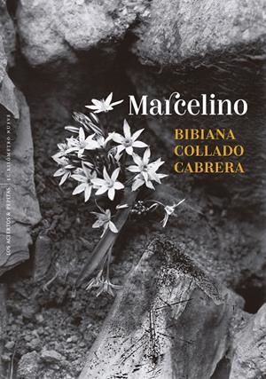 MARCELINO | 9788410476431 | COLLADO CABRERA, BIBIANA | Llibreria Online de Tremp