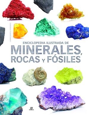 ENCICLOPEDIA ILUSTRADA DE MINERALES, ROCAS Y FÓSILES | 9788466238991 | MARTUL HERNÁNDEZ, CARMEN | Llibreria Online de Tremp