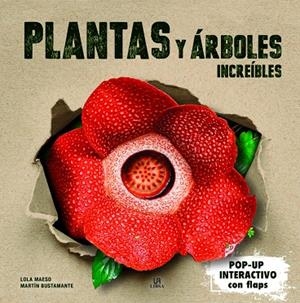PLANTAS Y ÁRBOLES INCREÍBLES | 9788466243872 | MAESO FERNÁNDEZ, MARÍA DOLORES | Llibreria Online de Tremp