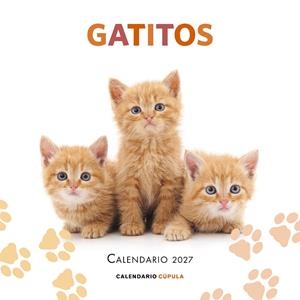 CALENDARIO GATITOS 2027 | 9788448049300 | AA. VV. | Llibreria Online de Tremp