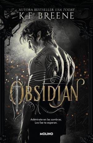 LOS FAE DE LAS SOMBRAS 1 - OBSIDIAN | 9788427257290 | BREENE, K.F. | Llibreria Online de Tremp