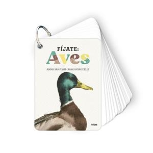 FÍJATE: AVES | 9788410407633 | SANJUAN LLORENS, ANNA/BAUCELLS COLOMER, RAMON | Llibreria Online de Tremp