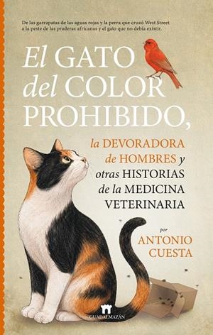 EL GATO DEL COLOR PROHIBIDO, LA DEVORADORA DE HOMBRES Y OTRAS HISTORIAS DE LA ME | 9791387941314 | ANTONIO CUESTA