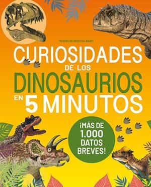 CURIOSIDADES DE LOS DINOSAURIOS EN 5 MINUTOS | 9791387708399 | CRISTINA BANFI | Llibreria Online de Tremp