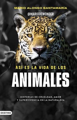 ASÍ ES LA VIDA DE LOS ANIMALES | 9788423370979 | MARIO ALONSO SANTAMARÍA @MARIODEWONDER