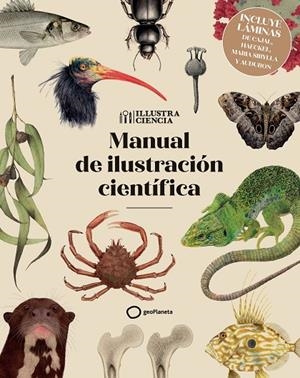MANUAL DE ILUSTRACIÓN CIENTÍFICA - NUEVA EDICIÓN CON LÁMINAS | 9788408328117 | AA. VV. | Llibreria Online de Tremp