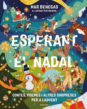 ESPERANT EL NADAL. CONTES, POEMES I ALTRES SORPRESES PER A L'ADVENT | 9791388358012 | BENEGAS, MAR | Llibreria Online de Tremp