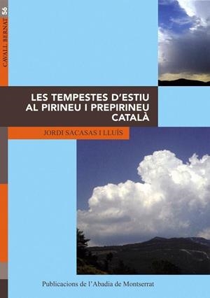 TEMPESTES D'ESTIU AL PIRINEU I PREPIRINEU CATALA, LES :ANALI | 9788484155287 | SACASSAS I LLUIS, JORDI | Llibreria Online de Tremp