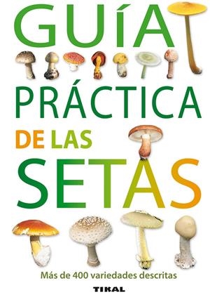 GUIA PRACTICA DE LAS SETAS | 9788492678167 | AAVV