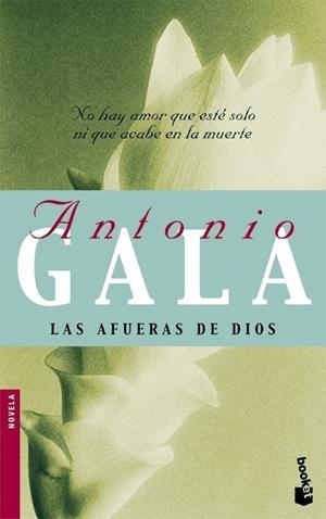 AFUERAS DE DIOS, LAS | 9788408081296 | GALA, ANTONIO | Llibreria Online de Tremp