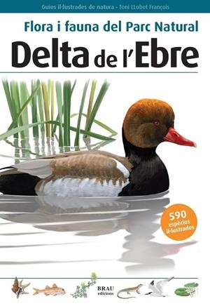 FLORA I FAUNA PARC NATURAL DEL DELTA DE L'EBRE | 9788496905184 | LLOBET FRANÇOIS, TONI | Llibreria Online de Tremp