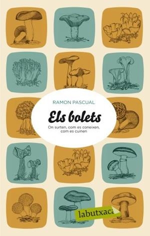 BOLETS, ELS | 9788499301501 | PASCUAL, RAMON | Llibreria Online de Tremp
