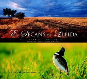 SECANS DE LLEIDA, ELS | 9788483305706 | VV.AA