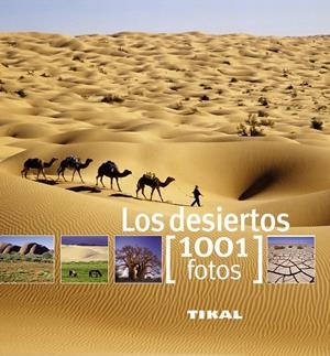 DESIERTOS, LOS | 9788499281308
