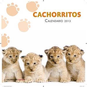 CALENDARIO 2013 CACHORRITOS | 9788448006655 | Llibreria Online de Tremp