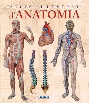 ATLES IL.LUSTRAT D'ANATOMIA | 9788467702101 | Llibreria Online de Tremp
