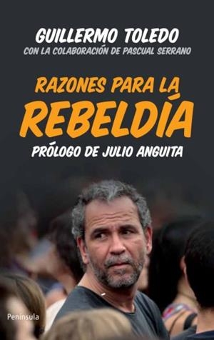 RAZONES PARA LA REBELDÍA  | 9788499421223 | TOLEDO, GUILLERMO