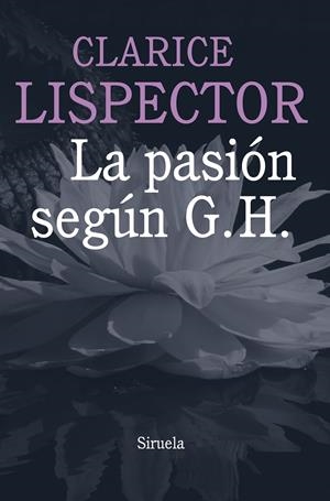 PASIÓN SEGÚN G. H., LA | 9788415803584 | LISPECTOR, CLARICE | Llibreria Online de Tremp