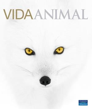 GRANDES DE ALHAMBRA: VIDA ANIMAL | 9788420555829 | UHLENBROEK, CHARLOTTE | Llibreria Online de Tremp