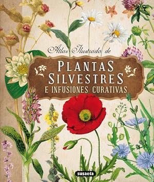 PLANTAS SILVESTRES CON INFUSIONES Y TISANAS | 9788467722864