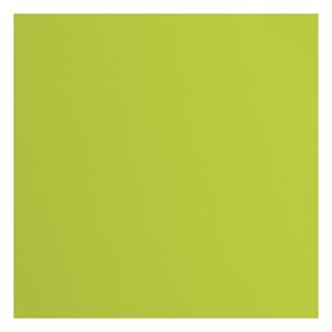 FLORENCE CARDSTOCK TEXTURE LIME | 8716052200689 | Llibreria Online de Tremp
