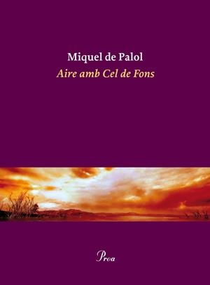 AIRE AMB CEL DE FONS | 9788475882932 | DE PALOL I MUNTANYOLA, MIQUEL  | Llibreria Online de Tremp